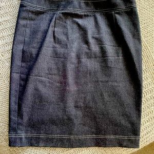 Beautiful Etcetera Skirt